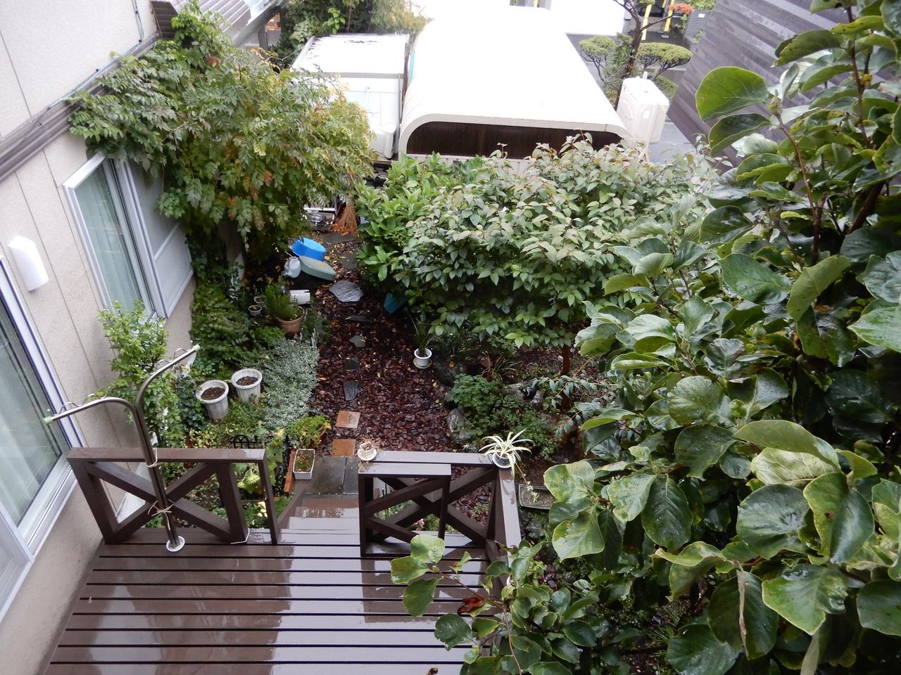 寒い雨が続く_c0025115_22273505.jpg