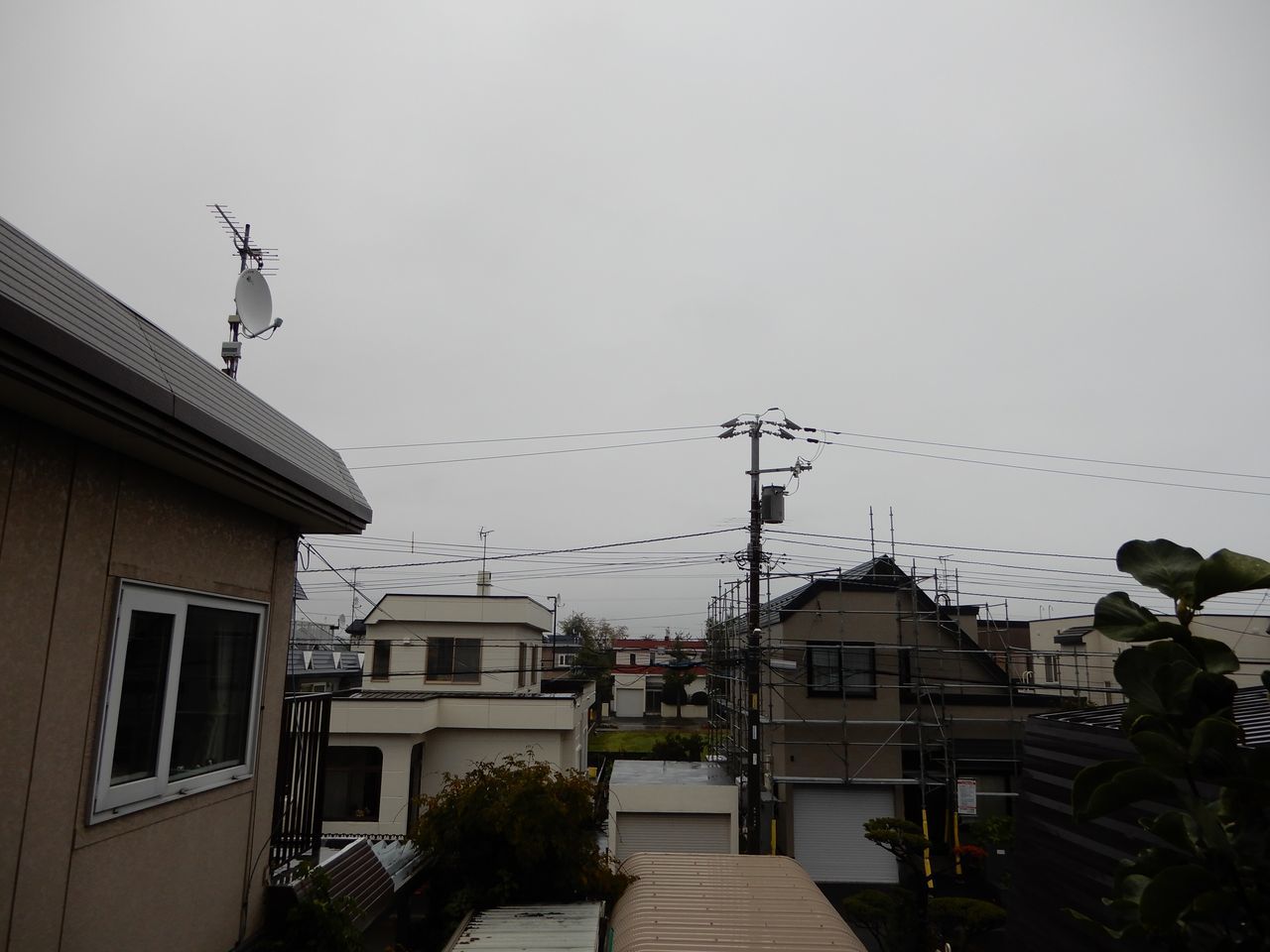 寒い雨が続く_c0025115_22273916.jpg