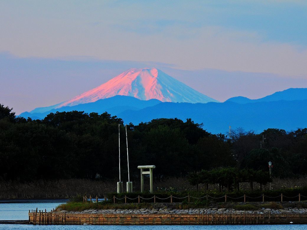 冠雪した富士山のモルゲンロート・・・多々良沼から：１０月２１日_a0031821_10472388.jpg