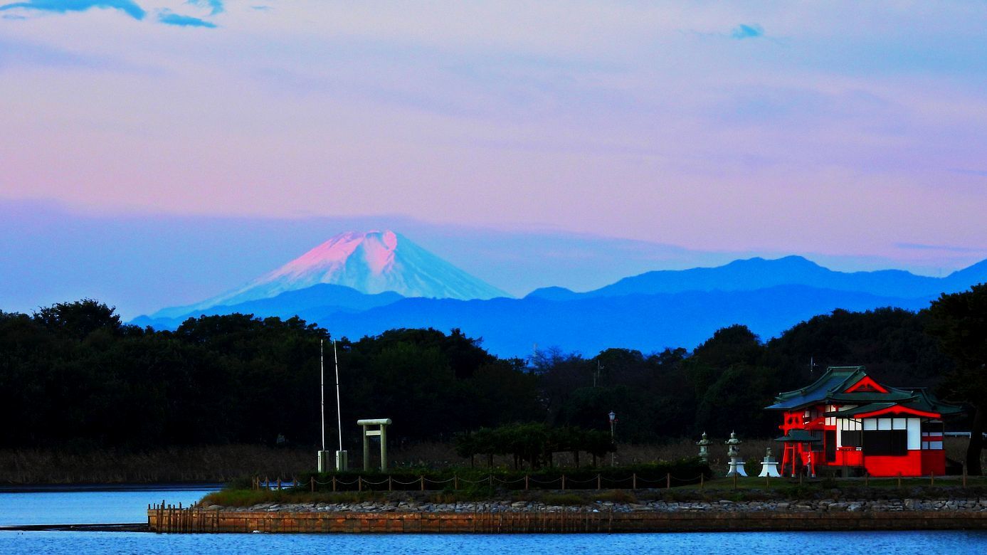 冠雪した富士山のモルゲンロート・・・多々良沼から：１０月２１日_a0031821_11043828.jpg