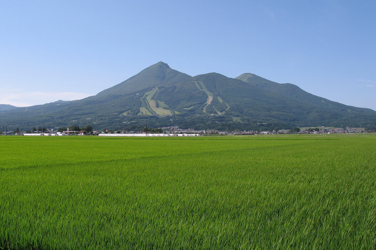 万葉集その八百六十三(東歌:陸奥国)_b0162728_17235909.jpg