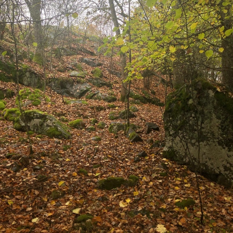 スウェーデンの田舎で牛を追う朝の散歩　巨大岩の謎_a0231632_15215931.jpeg
