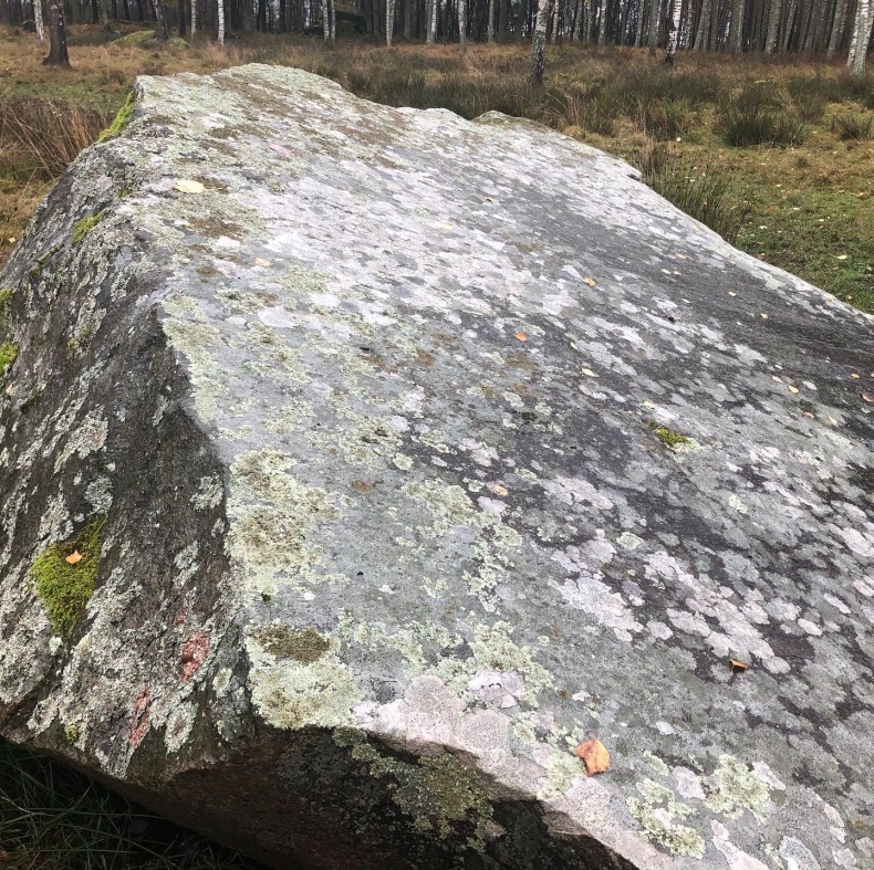 スウェーデンの田舎で牛を追う朝の散歩　巨大岩の謎_a0231632_15224220.jpeg