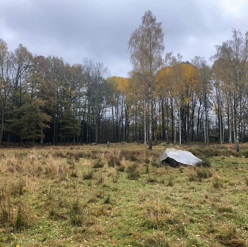 スウェーデンの田舎で牛を追う朝の散歩 巨大岩の謎_a0231632_15230320.jpeg