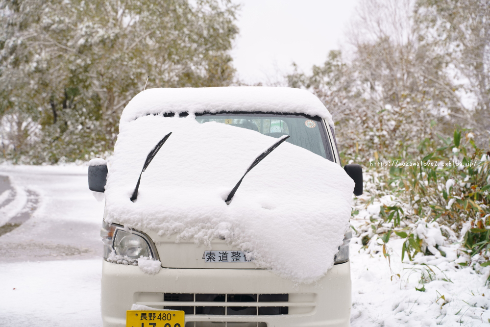 雪積もりました！本日の野沢温泉スキー場_b0404739_20173687.jpg