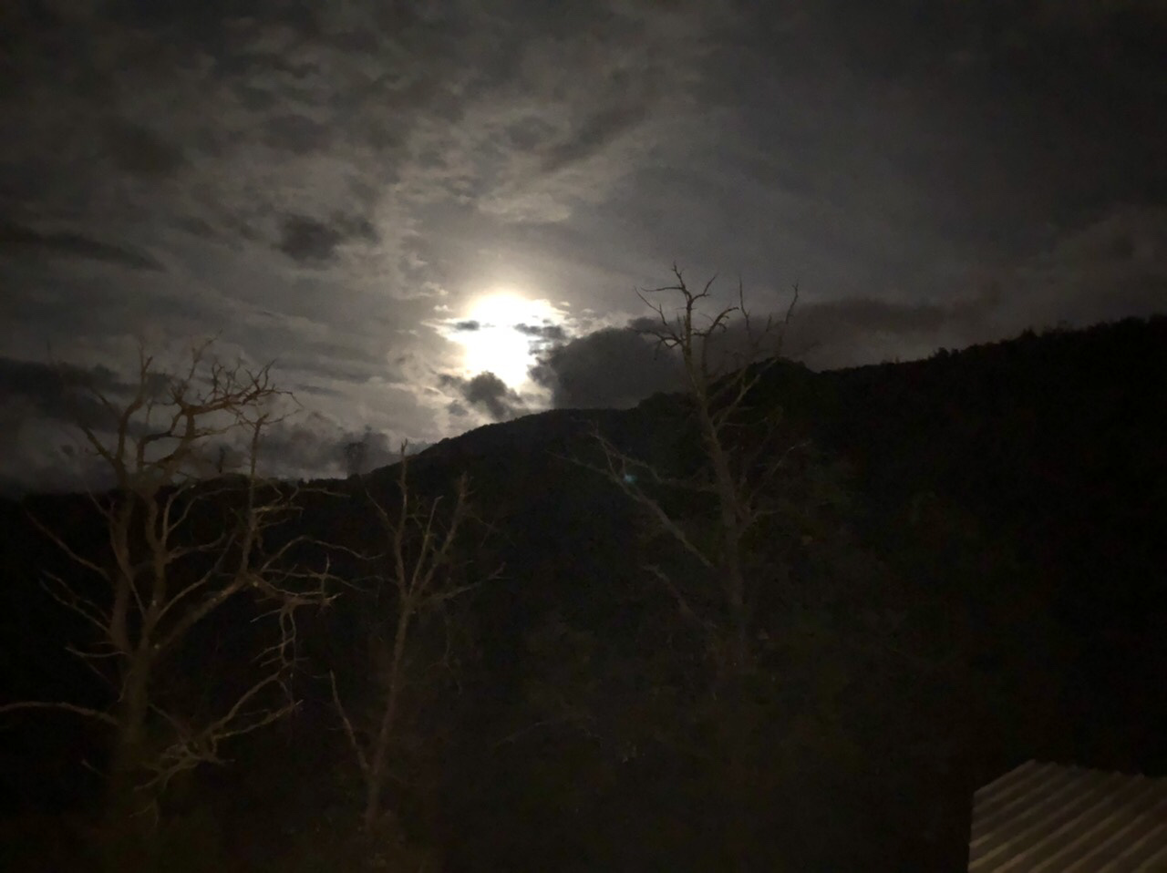 秋の夜長〜満月_d0136540_04472162.jpeg