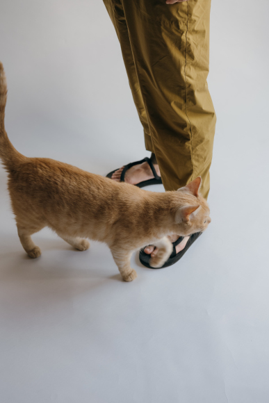 はら2021ネオウールパンツ　L Neo Wool Pants 2021 : mountain neverland