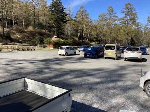 今日の毛木平からの登山道の様子です_c0369344_13282912.jpeg
