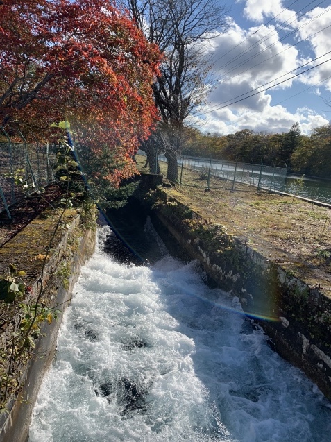 HECC2021支笏湖ー千歳ポタリングツアー_d0197762_14530558.jpeg