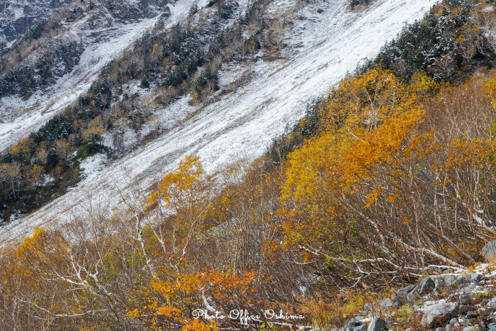初冠雪_f0361287_04253944.jpg