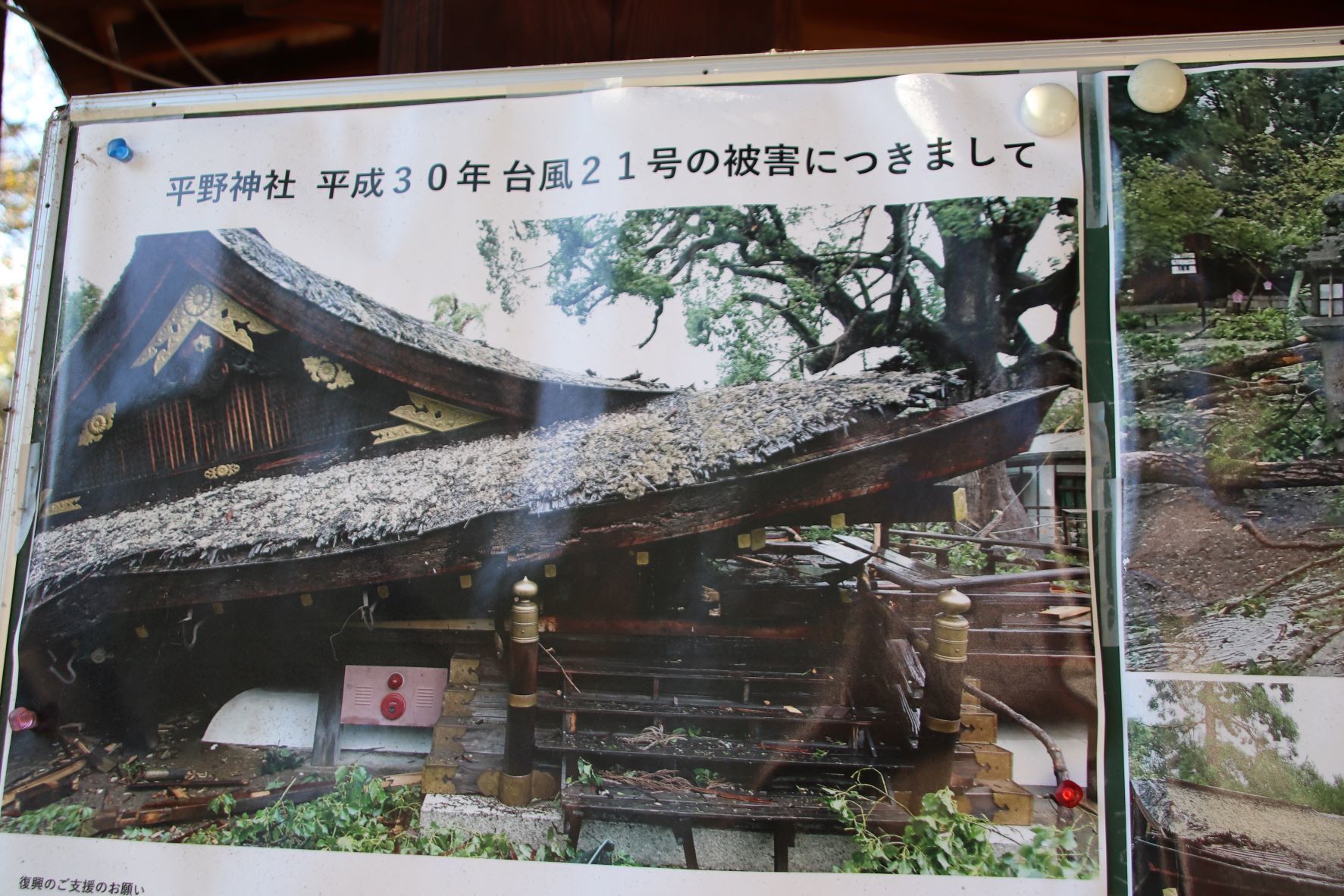 平野神社　拝殿再建と紫式部が盛り_e0048413_18073815.jpg
