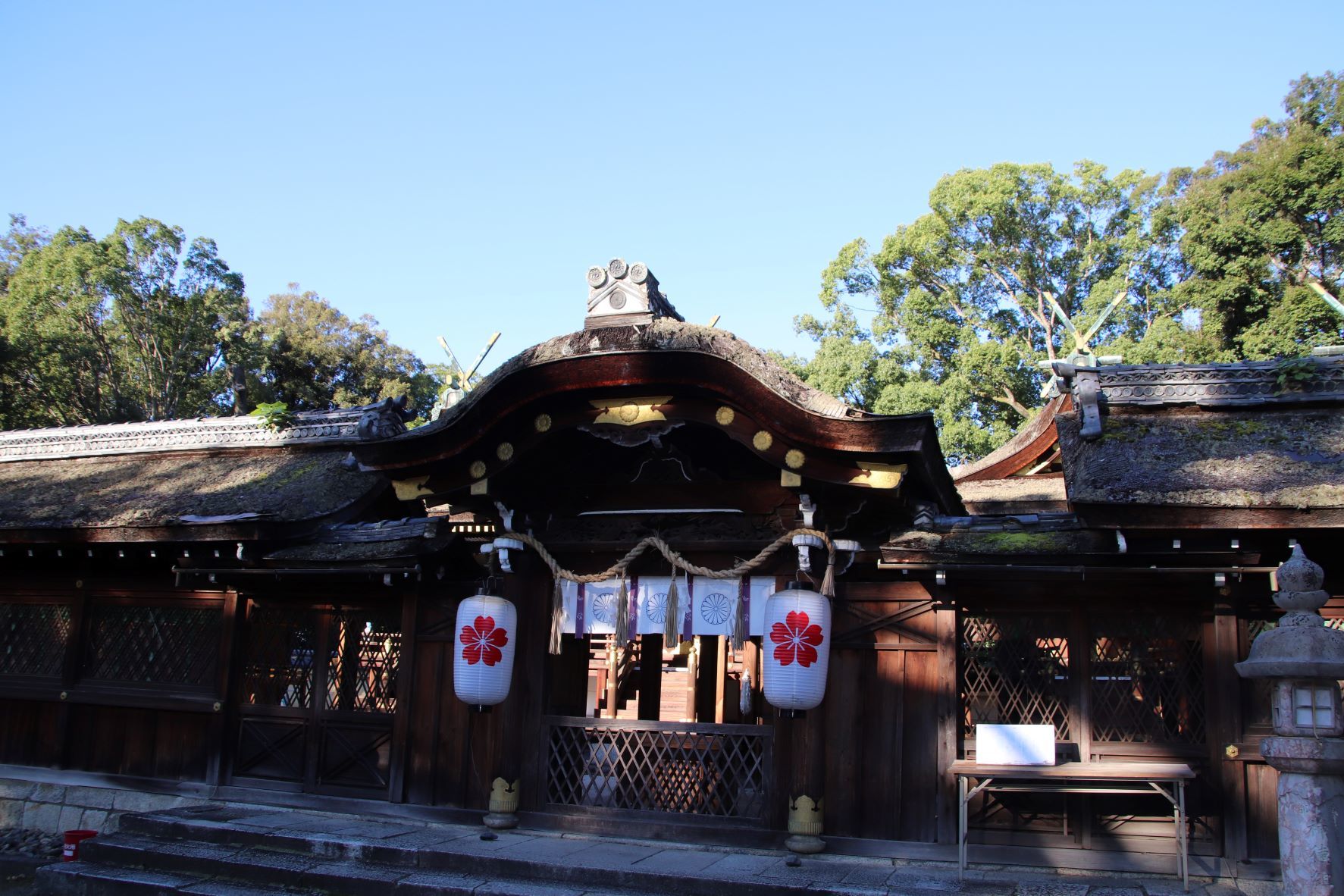 平野神社　拝殿再建と紫式部が盛り_e0048413_18074436.jpg