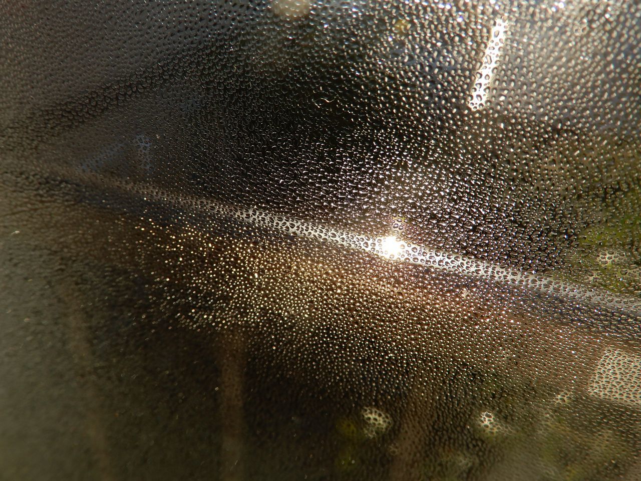凍りました_c0025115_20432956.jpg