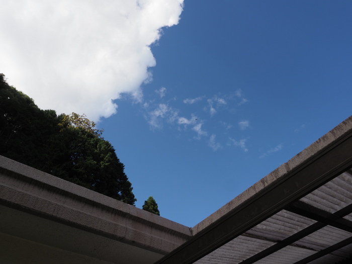 小雨のち晴れ_c0116915_22460862.jpg