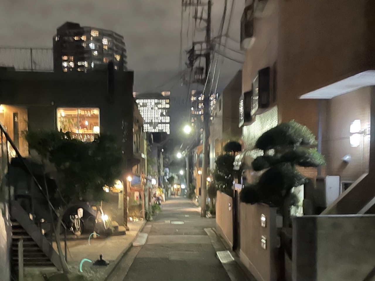 10月21日 神楽坂 ひで_a0317236_07432322.jpeg