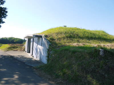 熊本県産『からいも(サツマイモ)』令和5年度の先行予約受付開始!しっかり熟成させ12月上旬より出荷開始です(前編)_a0254656_18002337.jpg