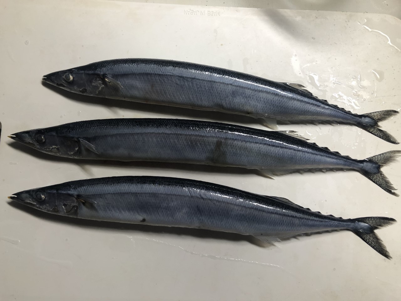 秋刀魚 食べてみました 押し花おばさんの気まぐれブログ