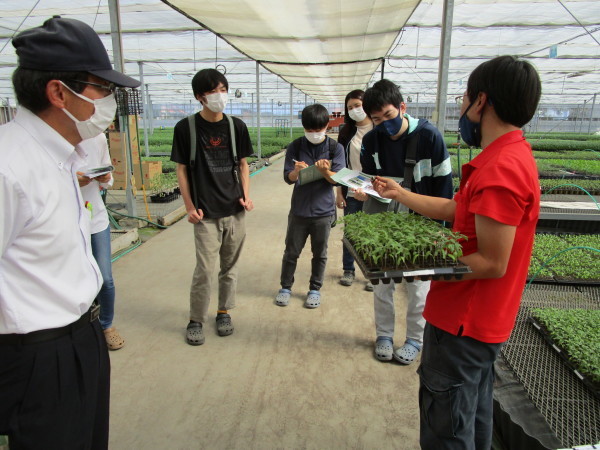 研究科でベルグアース株式会社茨城農場の視察研修を行いました 農大ブログ