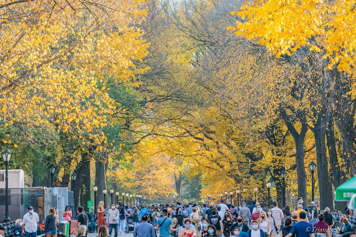2022年カレンダー11月写真 ークラウドファンディングプロジェクト2021よりー_a0274805_08121203.jpg
