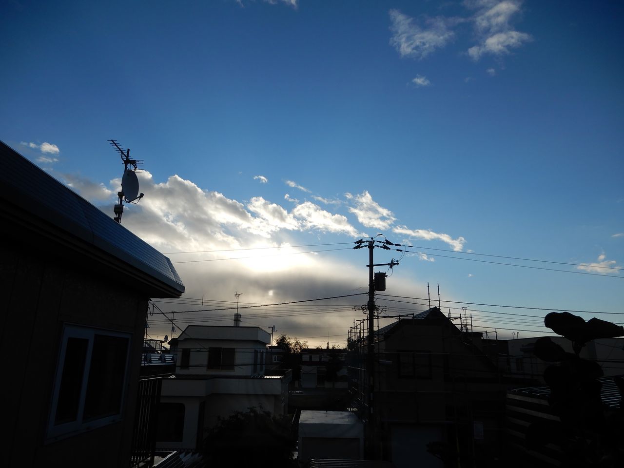 ようやく寒さを抜けそうです_c0025115_21150415.jpg