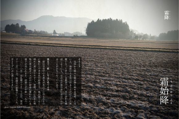 ようやく寒さを抜けそうです_c0025115_21234622.jpg