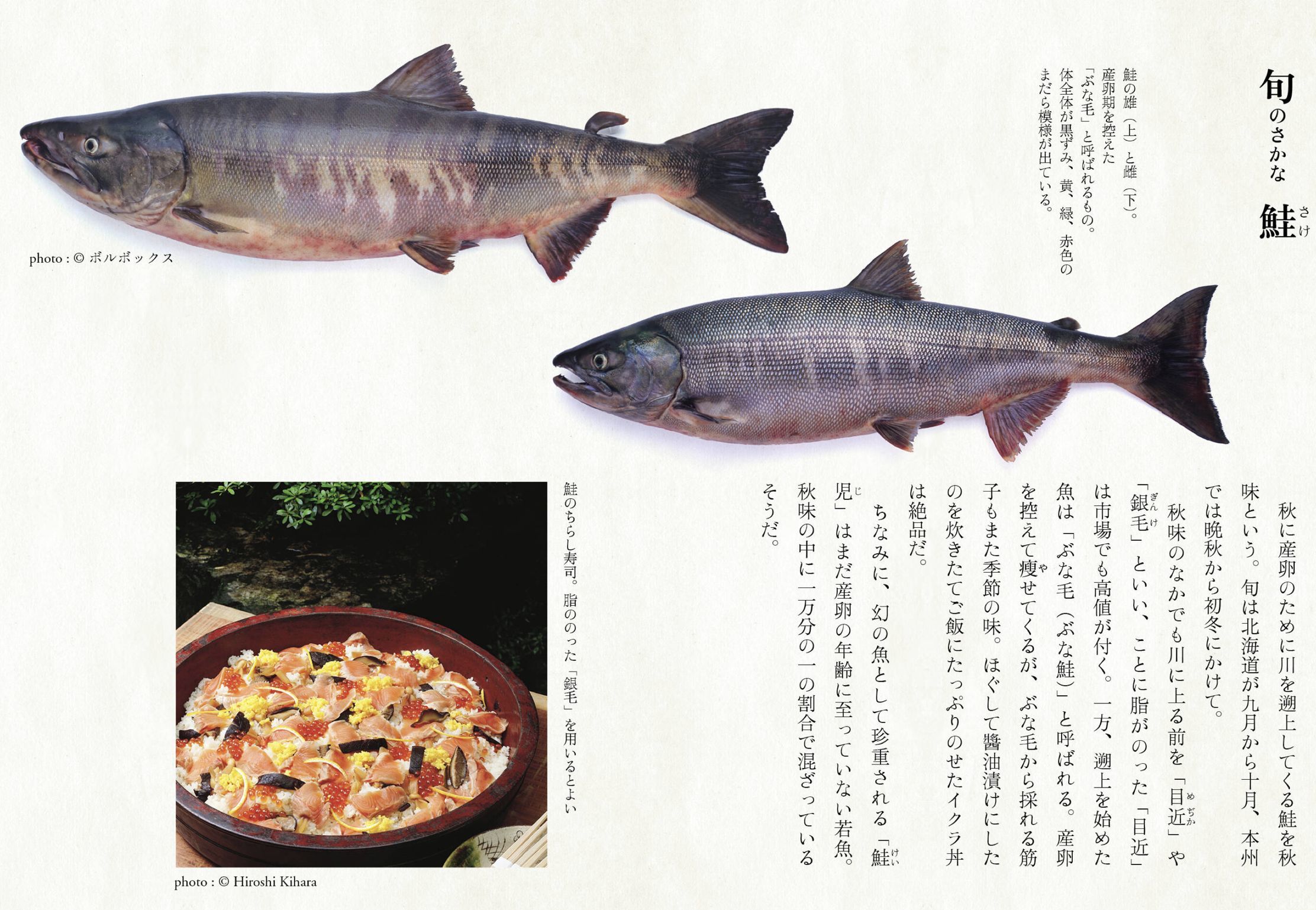 ようやく寒さを抜けそうです_c0025115_21261533.jpg