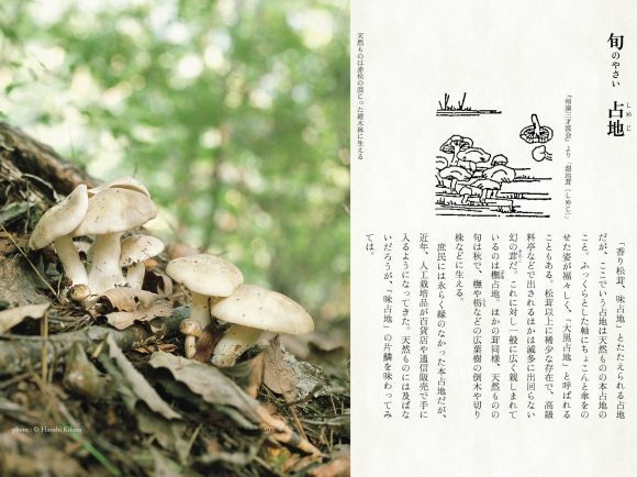 ようやく寒さを抜けそうです_c0025115_21303744.jpg
