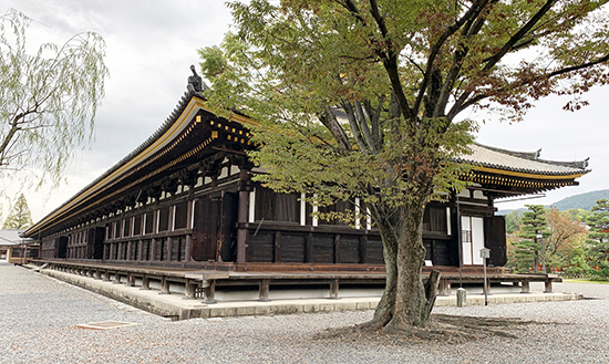 久しぶりの京都旅記録 一日目 その1_d0133320_21563214.jpg