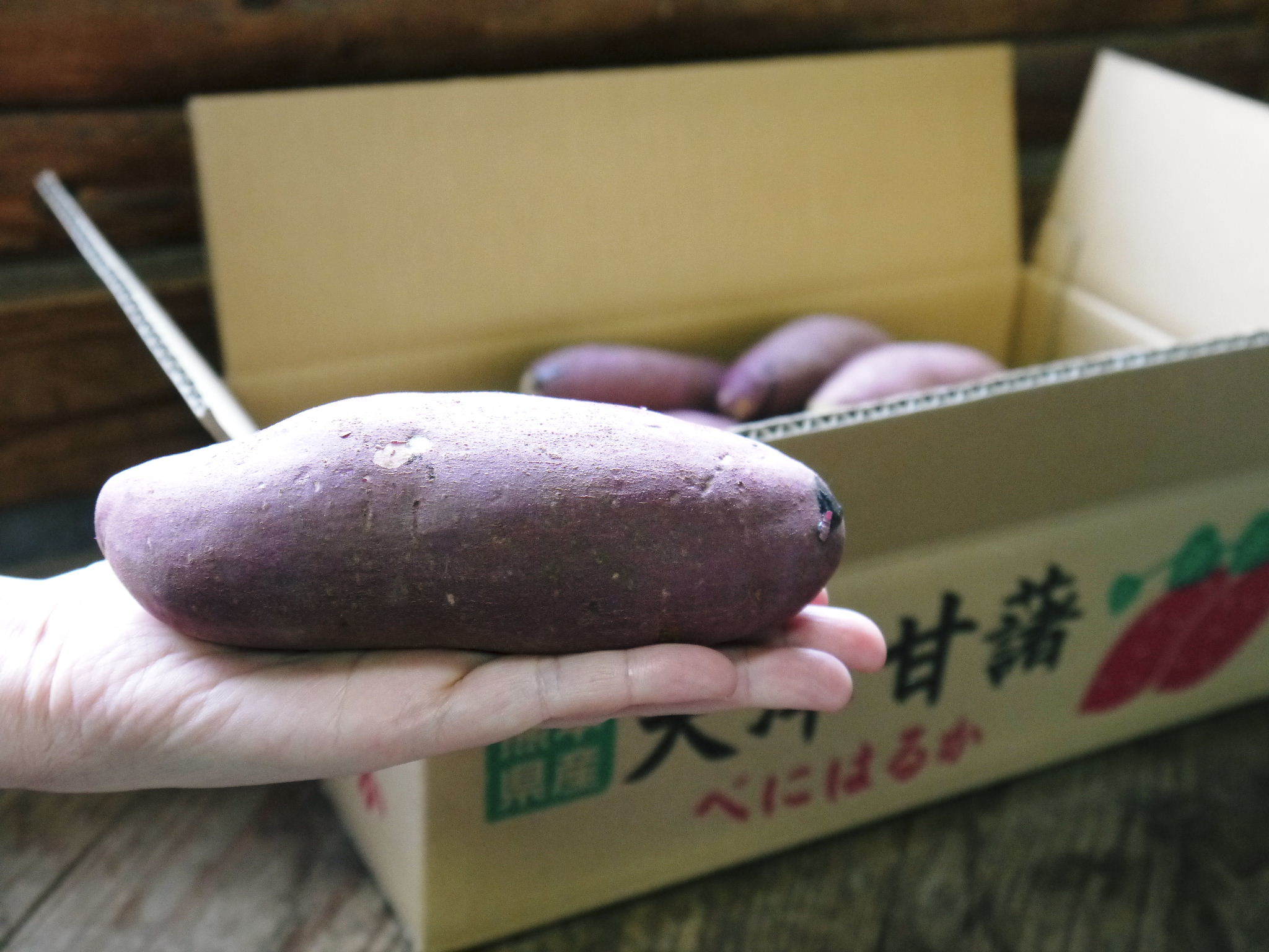 熊本産『からいも(サツマイモ)』令和3年度の先行予約受付スタート!熟成させ11月12日から出荷開始(後編)_a0254656_16544537.jpg