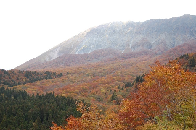 そろそろ、大山の紅葉が見頃ですね。_f0009169_09123233.jpg