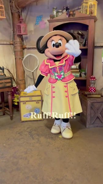 イン日記 8か月ぶりのディズニーシー ｒｕｆｆ ｒｕｆｆ Pluto Love
