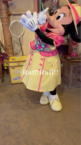 イン日記 8か月ぶりのディズニーシー ｒｕｆｆ ｒｕｆｆ Pluto Love