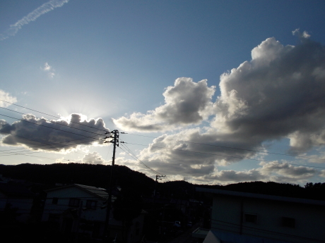 白南天の目覚め・今日も柿をもぐ_a0203003_17253121.jpg