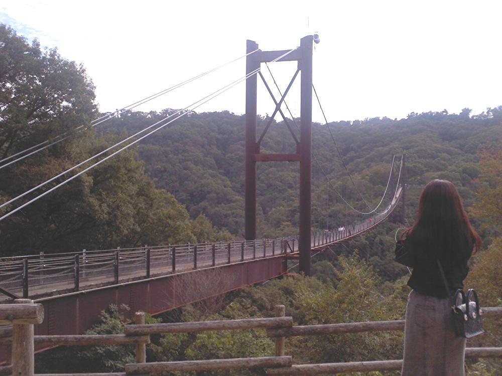 星田園地のつり橋「星のブランコ」_b0109511_20194214.jpg