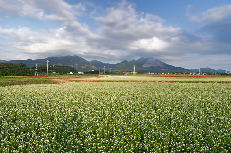 なんちゃって鉄撮り＠三重　三岐鉄道_f0032011_17374482.jpg