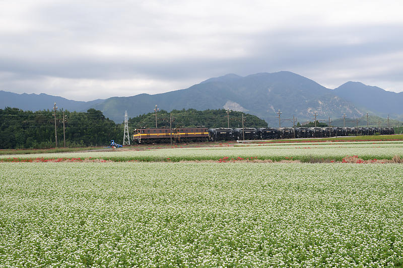 なんちゃって鉄撮り＠三重　三岐鉄道_f0032011_18144625.jpg