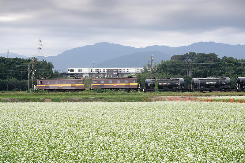 なんちゃって鉄撮り＠三重　三岐鉄道_f0032011_18144716.jpg