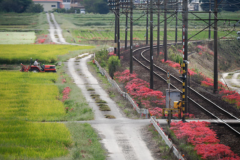 なんちゃって鉄撮り＠三重　三岐鉄道_f0032011_18144861.jpg