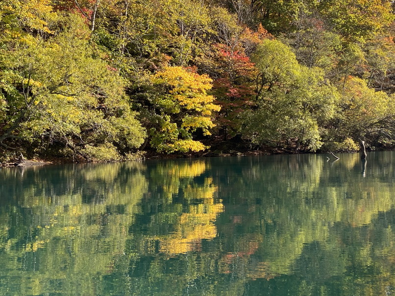 2021年10月 『紅葉の支笏湖でカヌー』 October 2021 \"Canoeing in Lake Shikotsu\" _c0219616_10322857.jpg