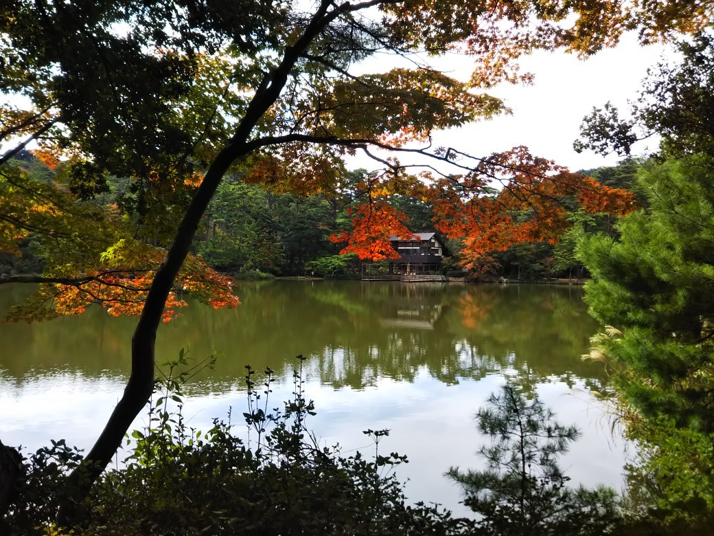 平野谷西尾根 _c0218841_18323447.jpg