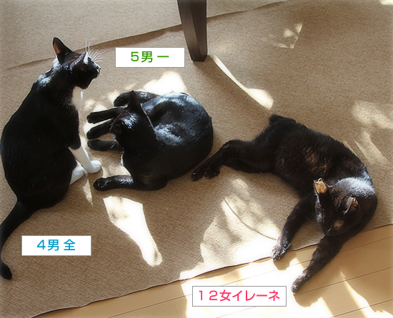 引っ越してきて、17年ぶりに・・・_a0389088_20243836.jpg
