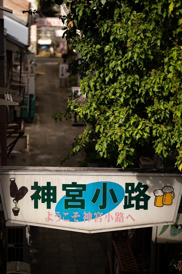 ひそやかだが断固として昭和を主張する飲屋街_d0353489_17435629.jpg