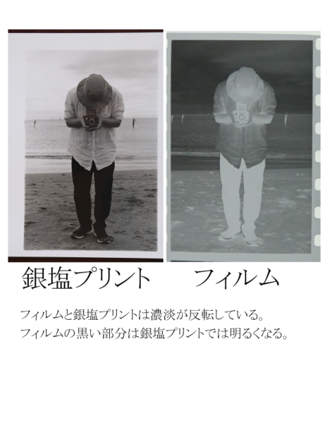 “”アナログ“”　自然風景写真（フレーム付き）　　　　フィルム撮影・銀塩プリント アナログ“”自然風景写真（フレーム付き）フィルム撮影・銀塩プリント