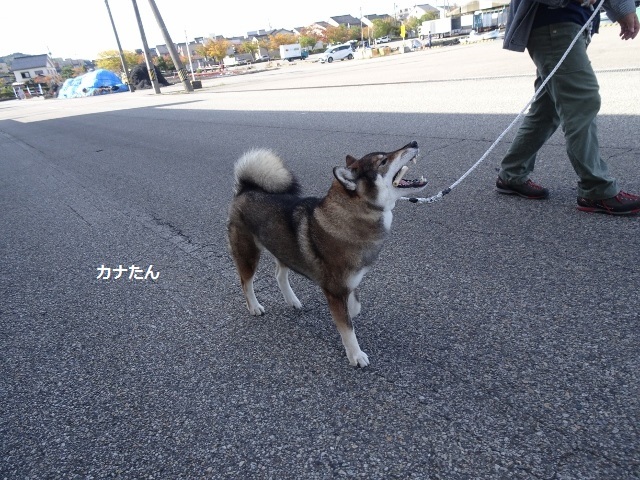 2hbyhob05o Rfm 2hbyhob05o Rfm