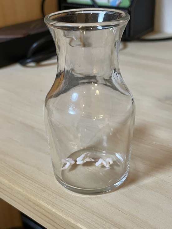 伊那谷_f0076731_19484908.jpeg