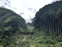 ７月３日に発生した熱海・伊豆山地区での土石流　（１１）_f0197754_21315320.jpg
