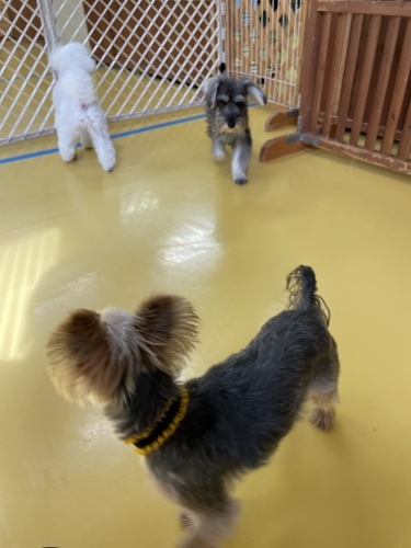 トレーニングブログ_f0357682_03195873.jpeg