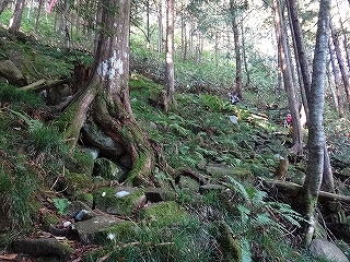 天空の遊歩道周遊（川上岳～鍋づる尾根～位山）_e0064783_06221833.jpg