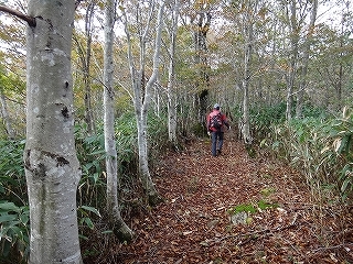 天空の遊歩道周遊（川上岳～鍋づる尾根～位山）_e0064783_06223322.jpg