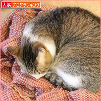 いつの間にやったの!?_a0389088_15351883.jpg